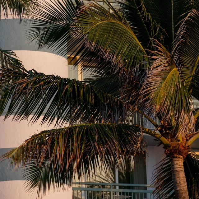 exterior of hotel building with palm trees